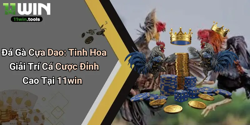 Đá Gà Cựa Dao: Tinh Hoa Giải Trí Cá Cược Đỉnh Cao Tại 11win