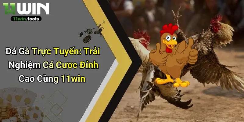 Đá Gà Trực Tuyến: Trải Nghiệm Cá Cược Đỉnh Cao Cùng 11win