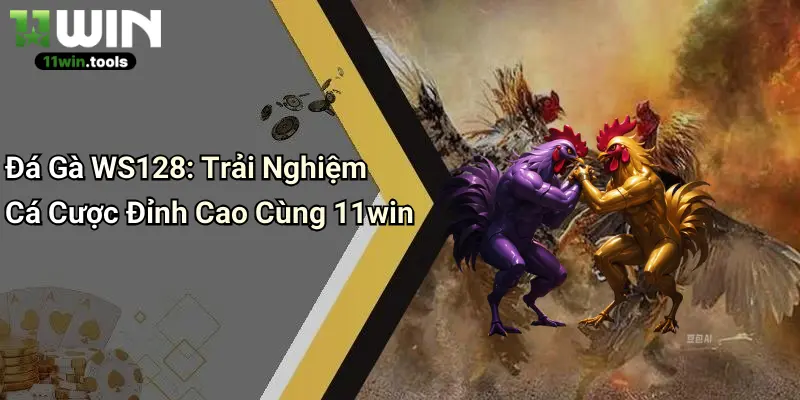Đá Gà WS128: Trải Nghiệm Cá Cược Đỉnh Cao Cùng 11win